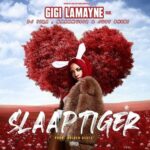 Gigi LaMayne ft DJ Tira, NaakMusiq & Just Bheki – SlaapTiger