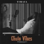 [Album] Timaya – Chulo Vibes